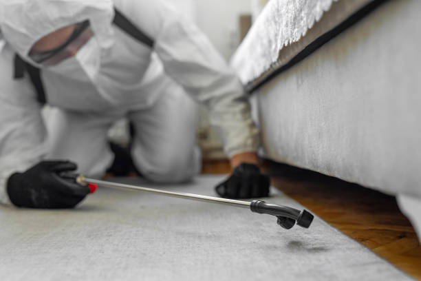 Professional Cockroach Control technician working in Maywood, NJ