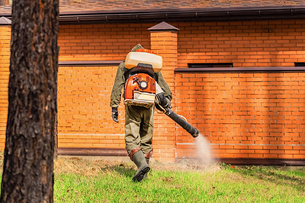 Trusted Mosquito Control service in Maywood, NJ - Nex Pest Control